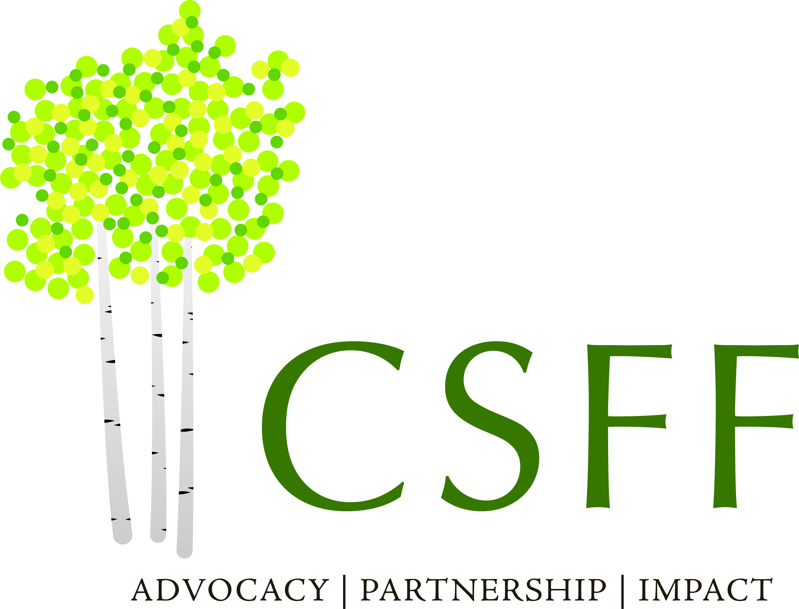 Craig-Scheckman Family Foundation logo